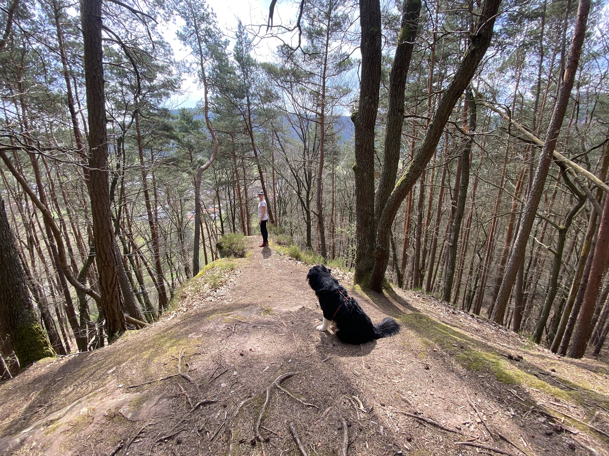 Wandern mit Kinderwagen: Panoramaweg Rumbach entdecken