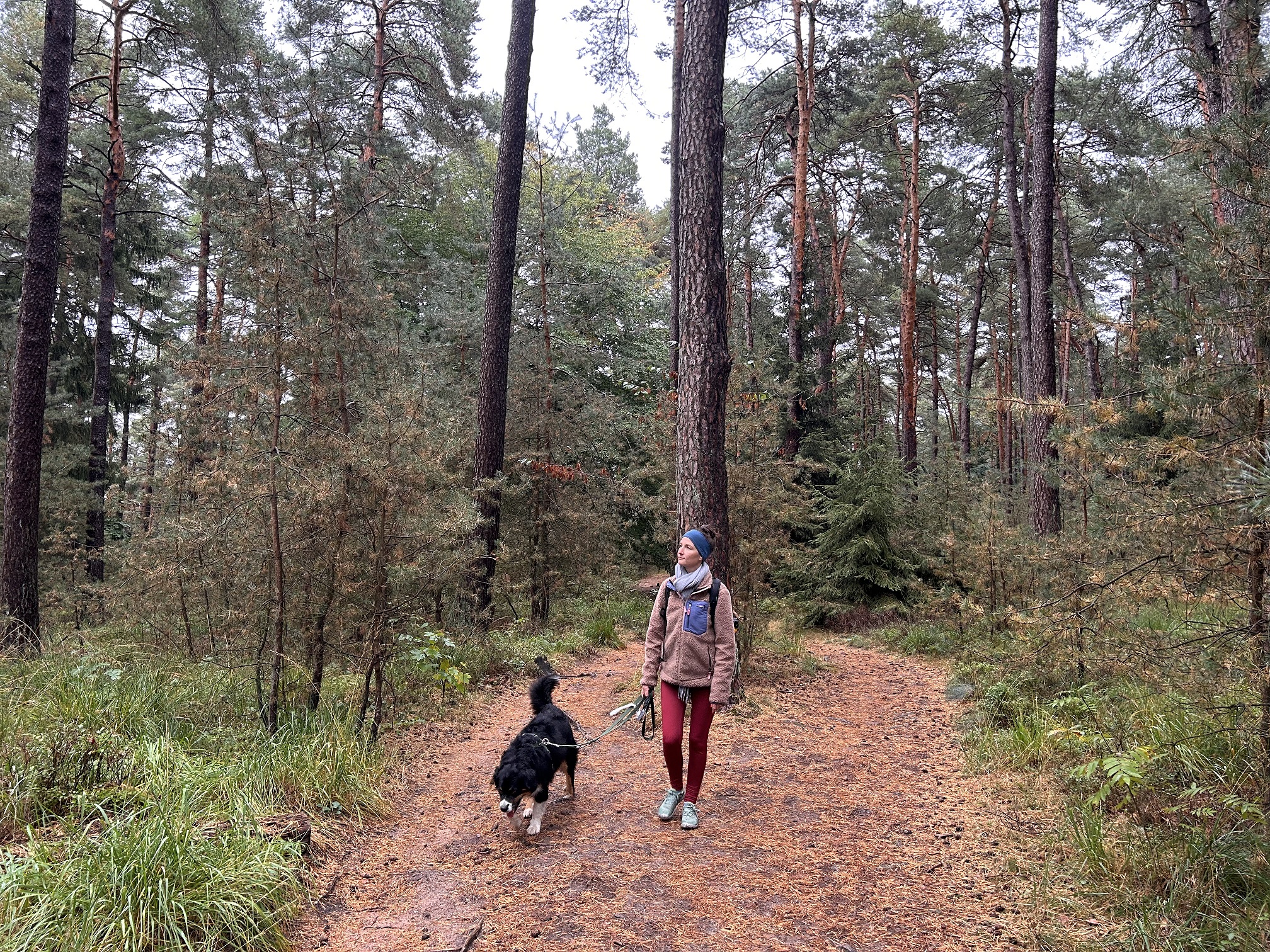 Neustadt/Weinstraße: Kurze Wanderwege zur Hohen Loog