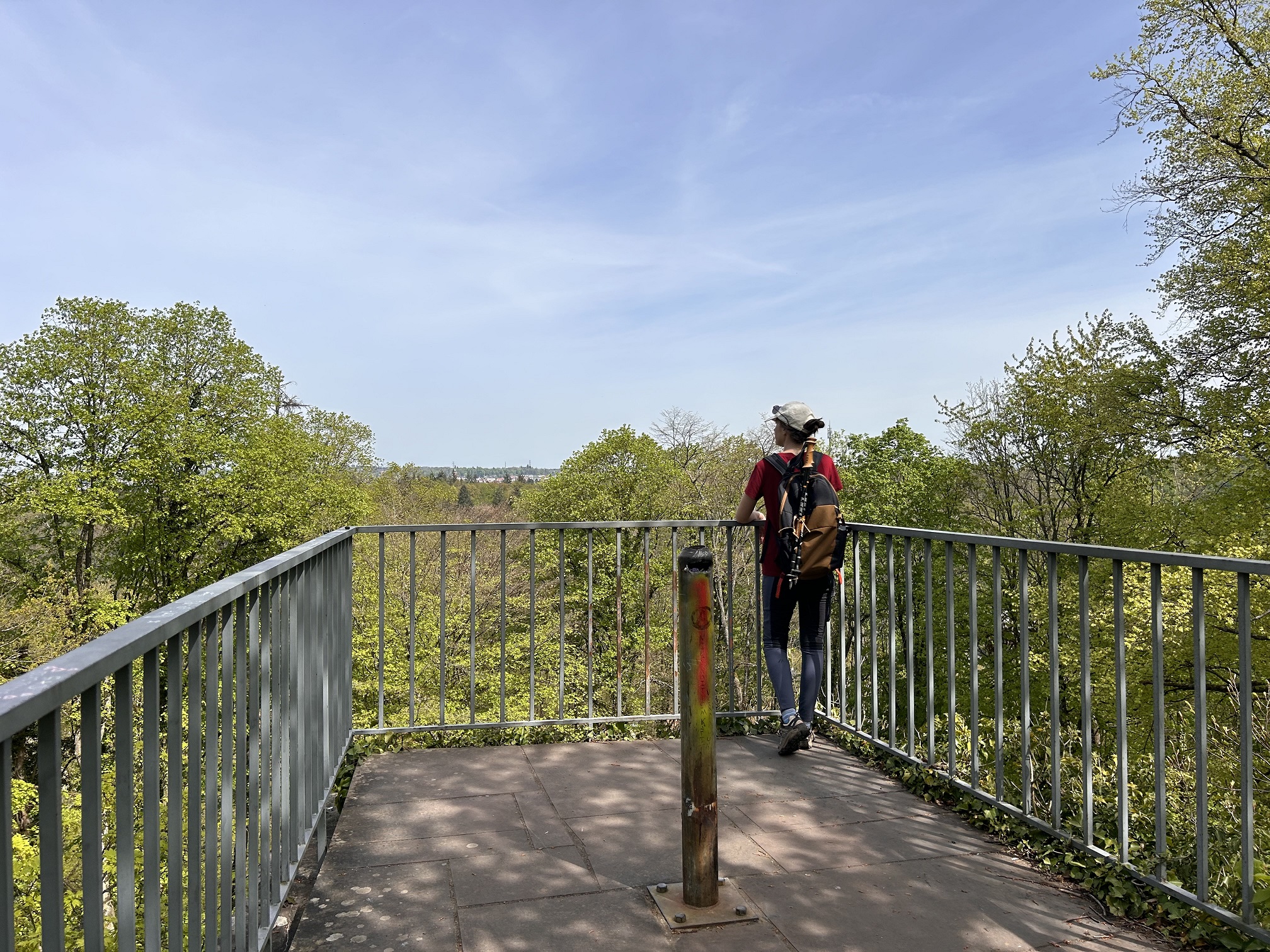 Drei Burgen Weg: Entdeckungstour im Schwarzwald