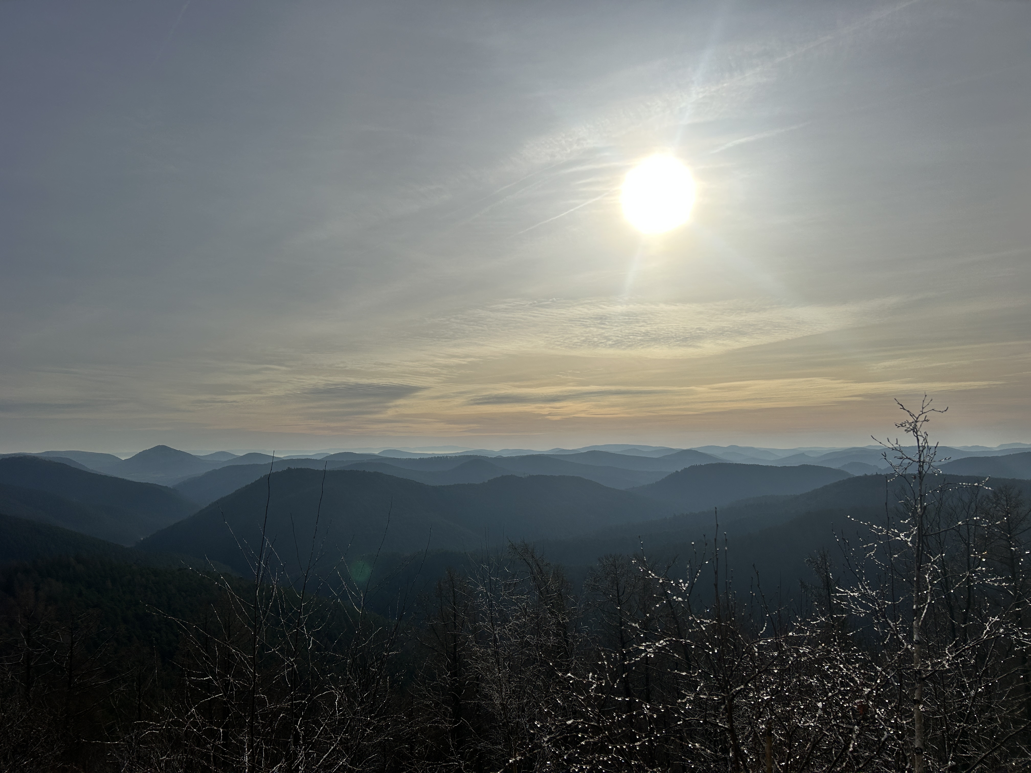 Rundwanderung im Pfälzerwald: Entdecke Kirschfelsen und Eiderbachtal