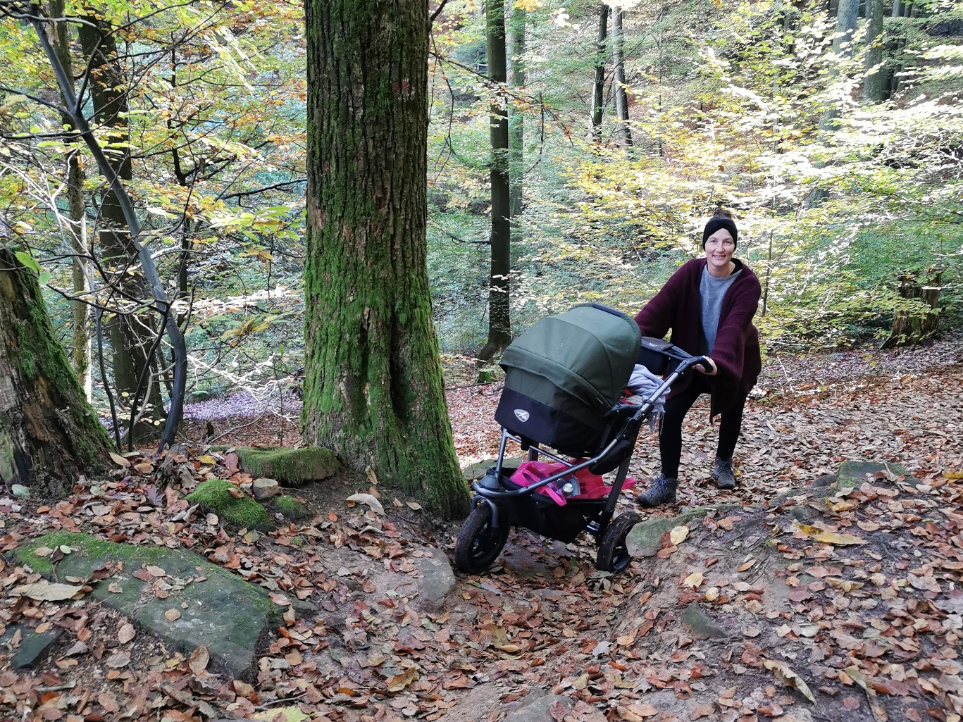 Die besten Pfälzerwald-Wanderungen für den Winter