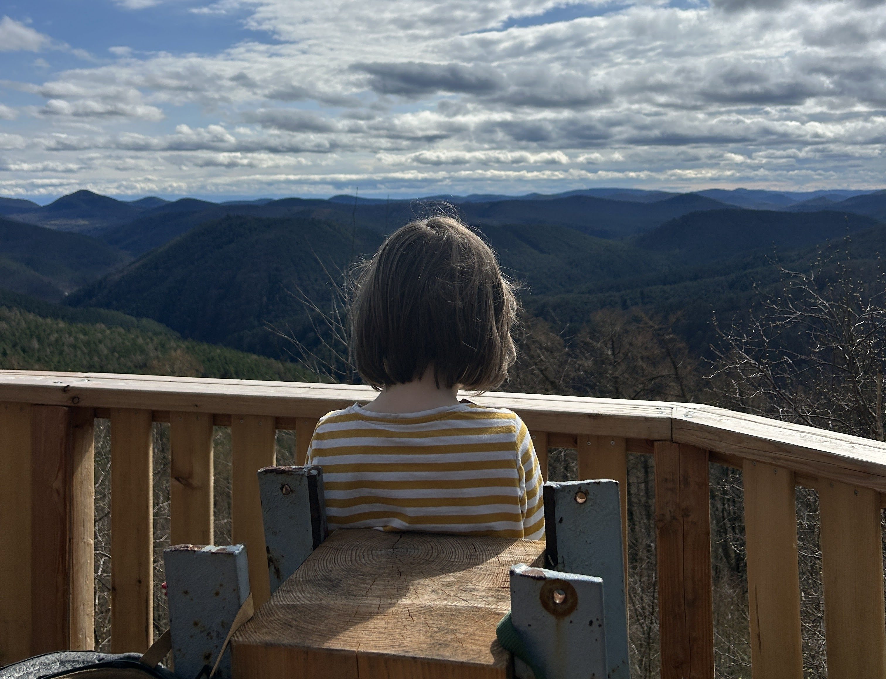 Entdecke die Pfalz: 10 Tipps für Outdoor-Abenteuer