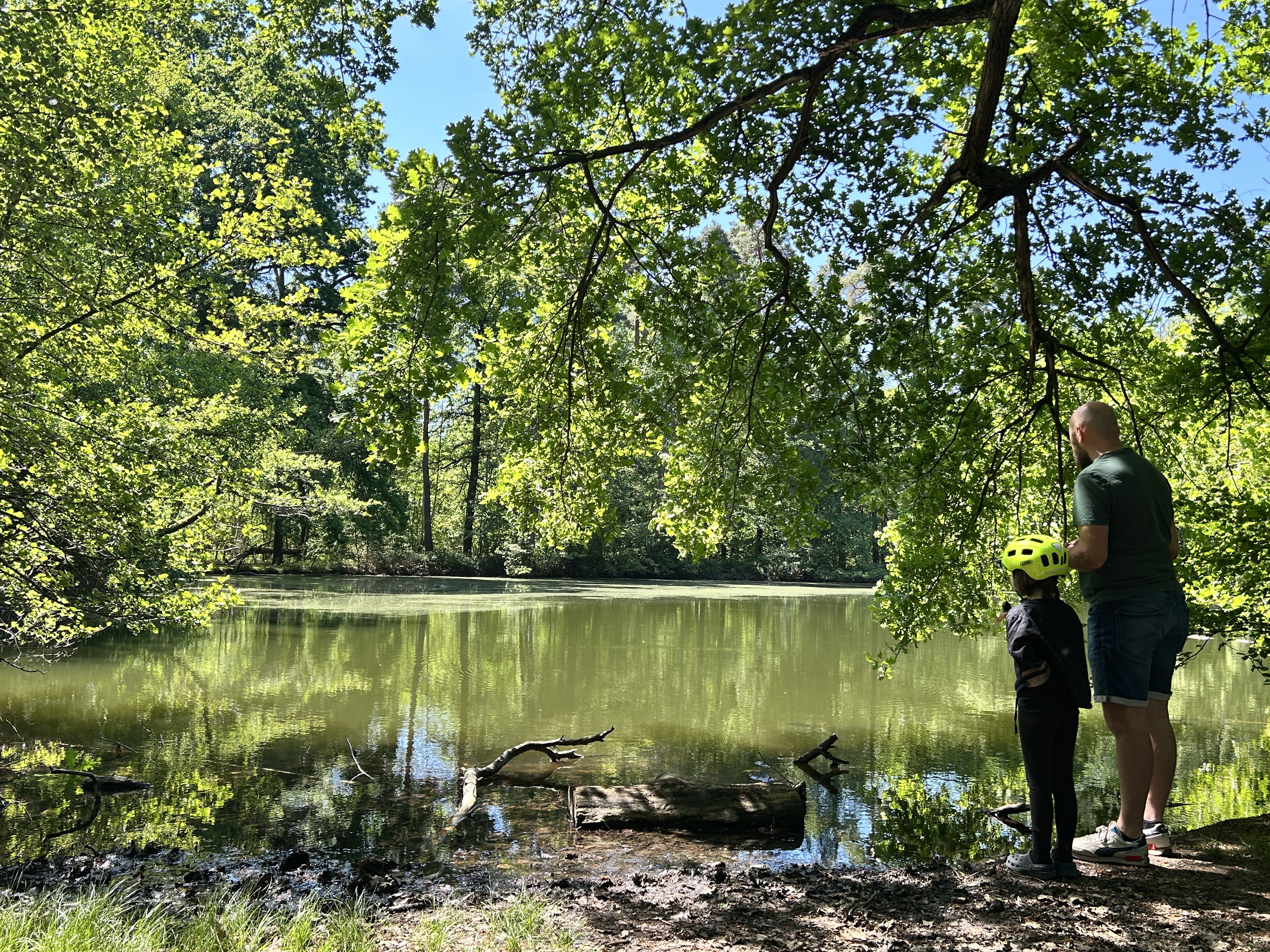 Lost Place Soldatenweiher: Naturidylle mit militärischer Vergangenheit
