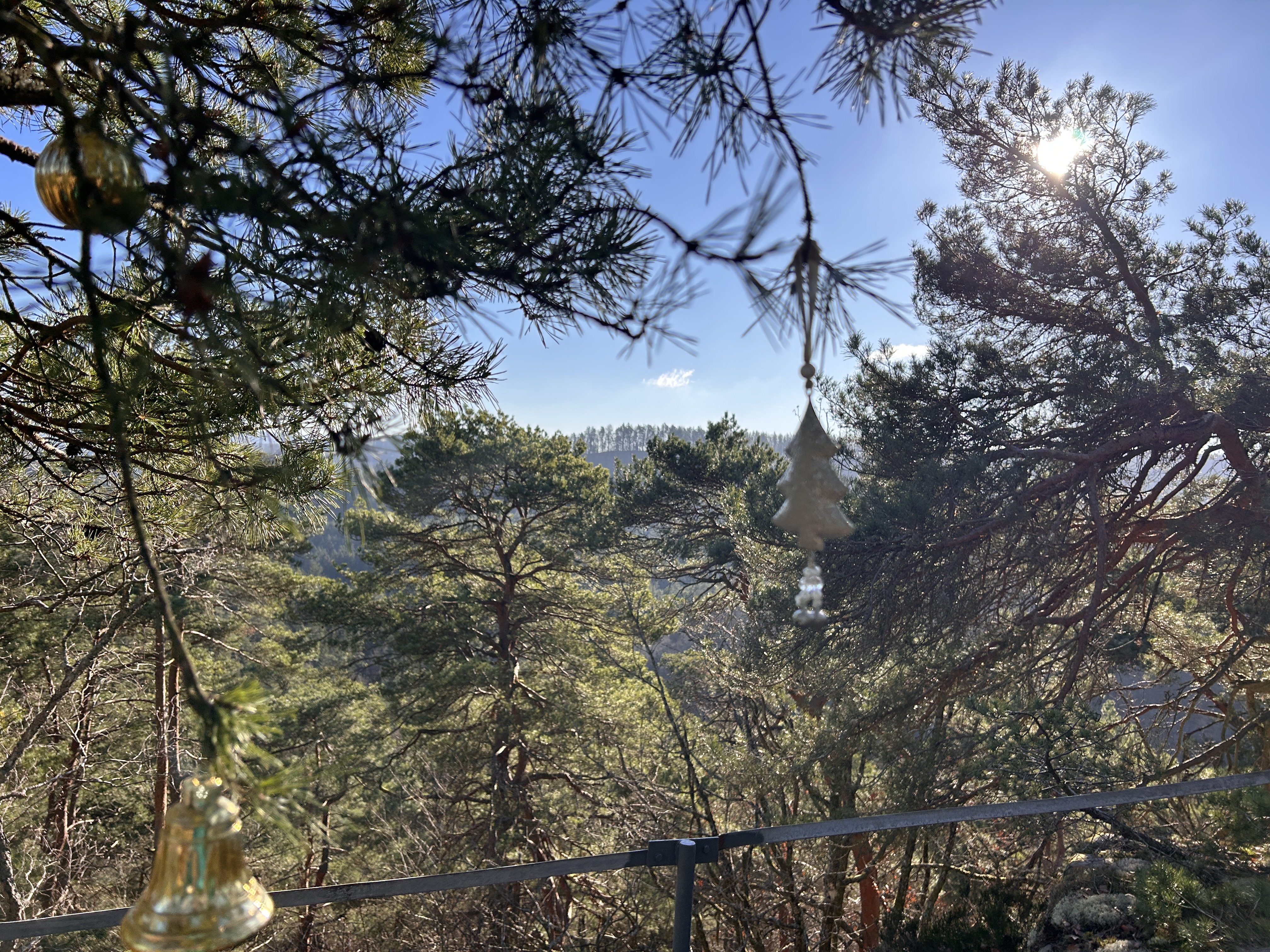 Kurze Wanderung im Pfälzerwald: Christkindels- und Krappenfelsen entdecken