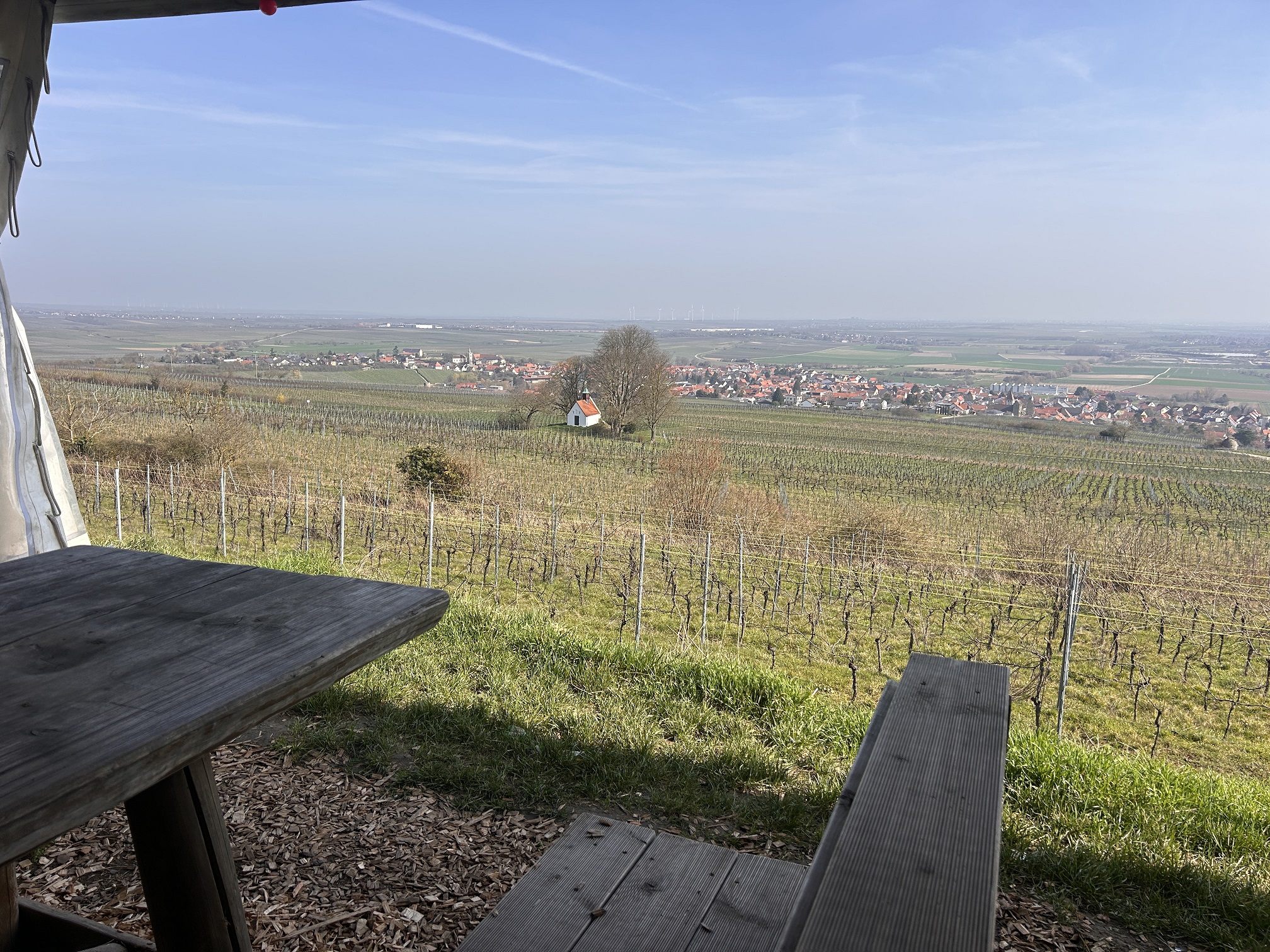 Sänger-Wanderweg: Geheimtipp in der Pfalz