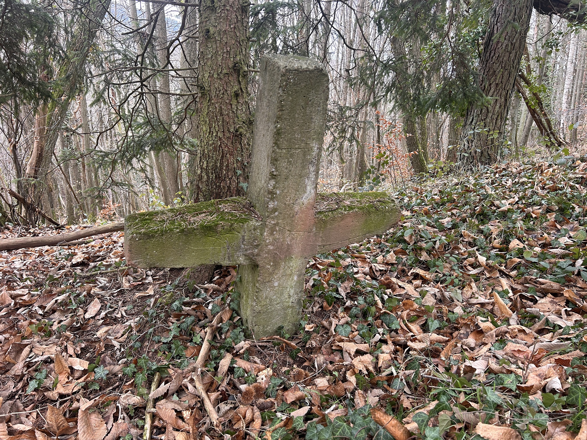 Wer ist J.Z.? Das rätselhafte Kreuz im Wald bei Waldhambach erklärt