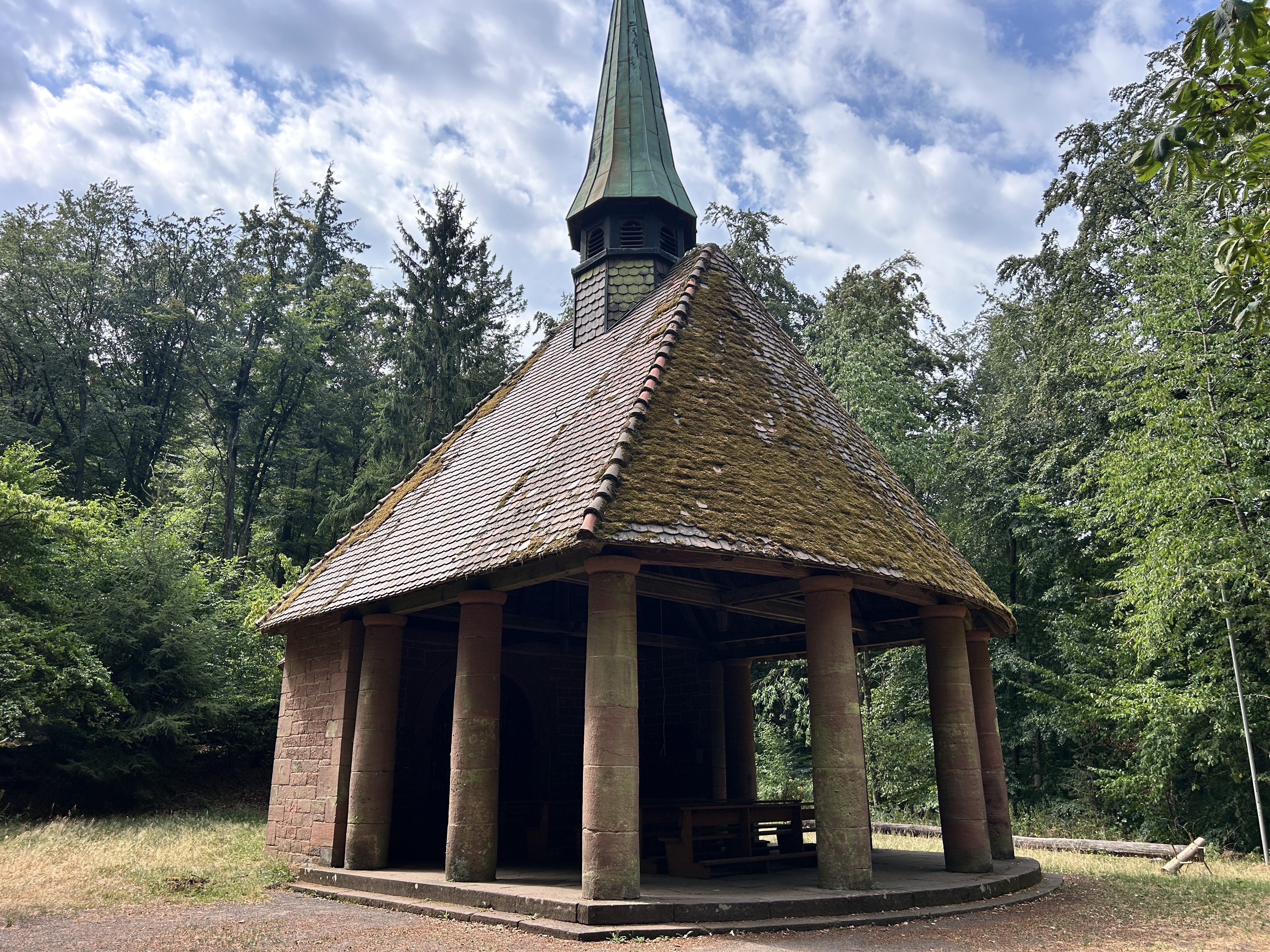 Waldidylle zwischen Winterkirchel, Dicke Eiche und Paddelweiher